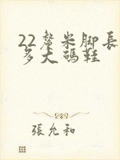 22厘米脚长穿多大码鞋