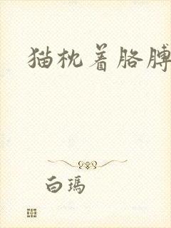 猫枕着胳膊睡觉