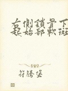 右侧锁骨下动脉起始部软斑形成