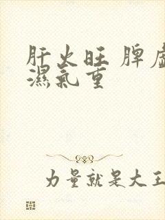 肝火旺 脾虚 湿气重