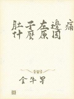 肚子左边痛怎么什么原因