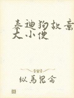 泰迪狗故意报复大小便