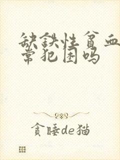 缺铁性贫血会经常犯困吗