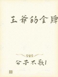 王爷的金牌暗卫