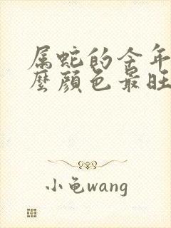 属蛇的今年穿什么颜色最旺