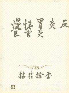 慢性胃炎反流性食管炎