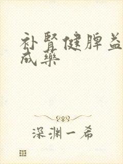 补肾健脾益气中成药