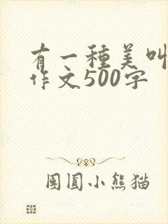 有一种美叫坚持作文500字
