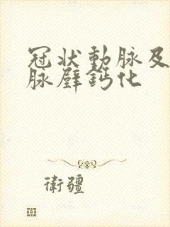 冠状动脉及主动脉壁钙化