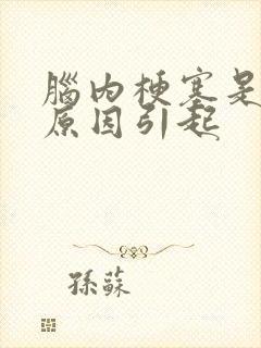 脑内梗塞是什么原因引起