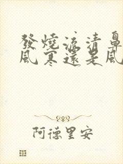 发烧流清鼻涕是风寒还是风热