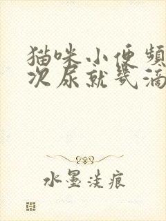 猫咪小便频繁每次尿就几滴