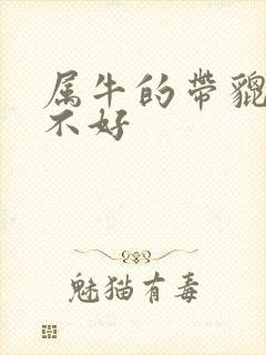 属牛的带貔貅好不好