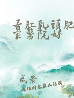 看肛乳头肥大哪家医院好