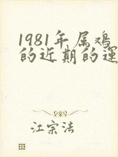 1981年属鸡的近期的运气