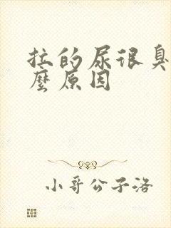 拉的尿很臭是什么原因