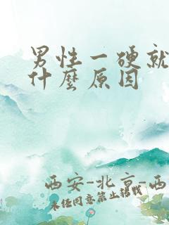 男性一硬就软是什么原因