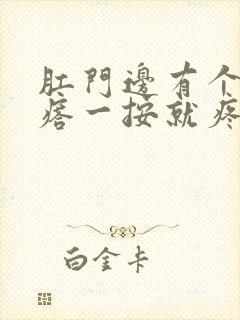 肛门边有个硬疙瘩一按就疼怎么治