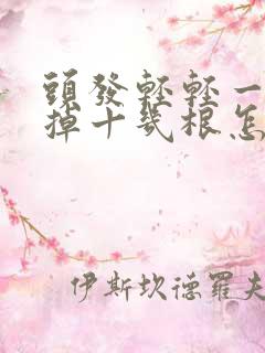 头发轻轻一碰就掉十几根怎么办