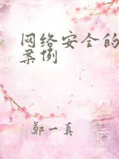 网络安全的具体案例