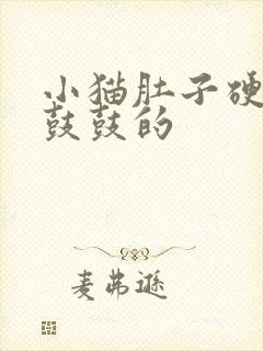 小猫肚子硬硬的鼓鼓的