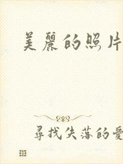 美丽的照片壁纸