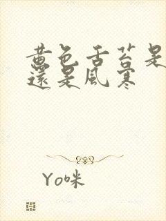 黄色舌苔是风热还是风寒