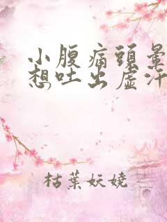 小腹痛头晕恶心想吐出虚汗