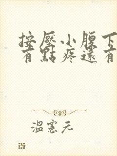 按压小腹下面会有点疼还有尿意