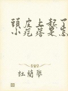 头皮上起了好多小疙瘩是怎么回事