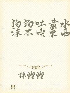 狗狗吐黄水带泡沫不吃东西怎么办