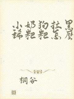 小奶狗拉黑色的稀粑粑怎么办