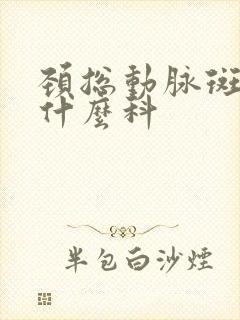 颈总动脉斑块看什么科