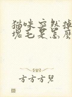 猫咪突然掉了一块毛是怎么回事