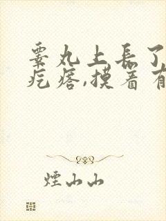 睾丸上长了个肉疙瘩,摸着有点疼