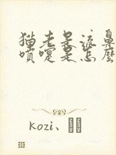 猫老是流鼻涕打喷嚏是怎么回事