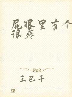 屁眼里有个疙瘩很疼