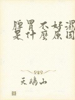 脾胃不好湿气重是什么原因