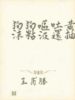 狗狗呕吐黄水泡沫粘液还抽搐