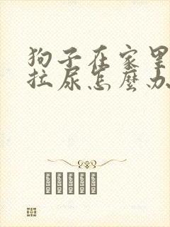 狗子在家里面乱拉尿怎么办