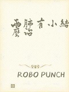 两肺有小结节怎么治