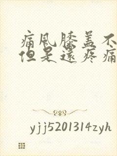 痛风膝盖不肿了但是还疼痛