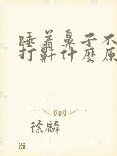 睡着鼻子不通气打鼾什么原因