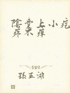 阴囊上小疙瘩不疼不痒