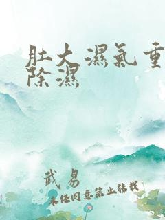 肚大湿气重怎么除湿