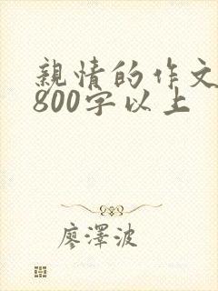 亲情的作文初三800字以上