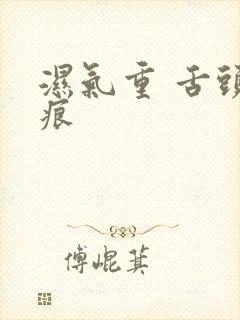 湿气重 舌头齿痕