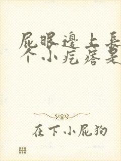 屁眼边上长了一个小疙瘩是怎么回事