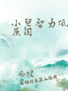 小儿智力低发生原因