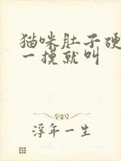 猫咪肚子硬硬的一摸就叫